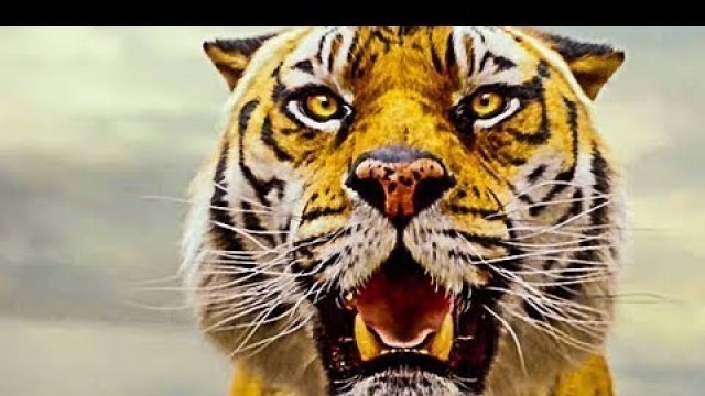 'Life of Pi - Official Trailer (HD)'