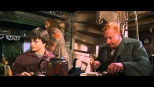 'Harry Potter and the Chamber of Secrets - Harry\'s first time at the Weasley\'s home (HD)'